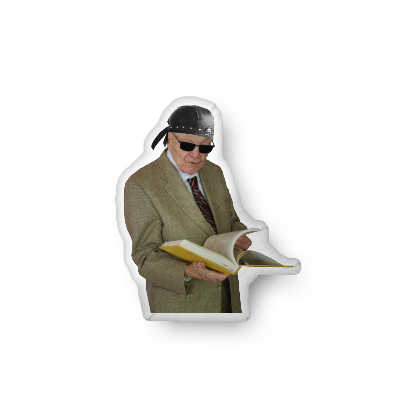 WALTKE THROW PILLOW 2