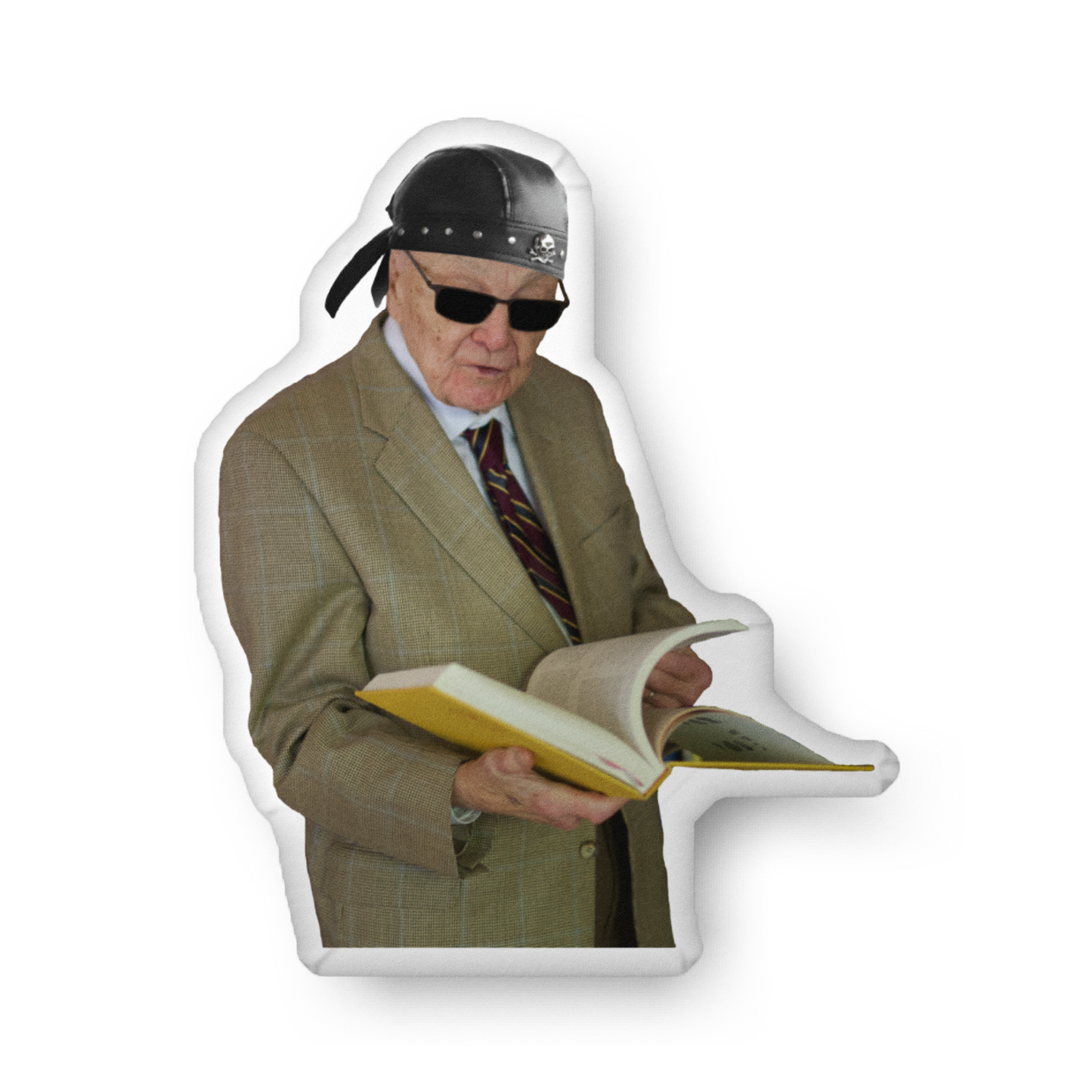 WALTKE THROW PILLOW 2