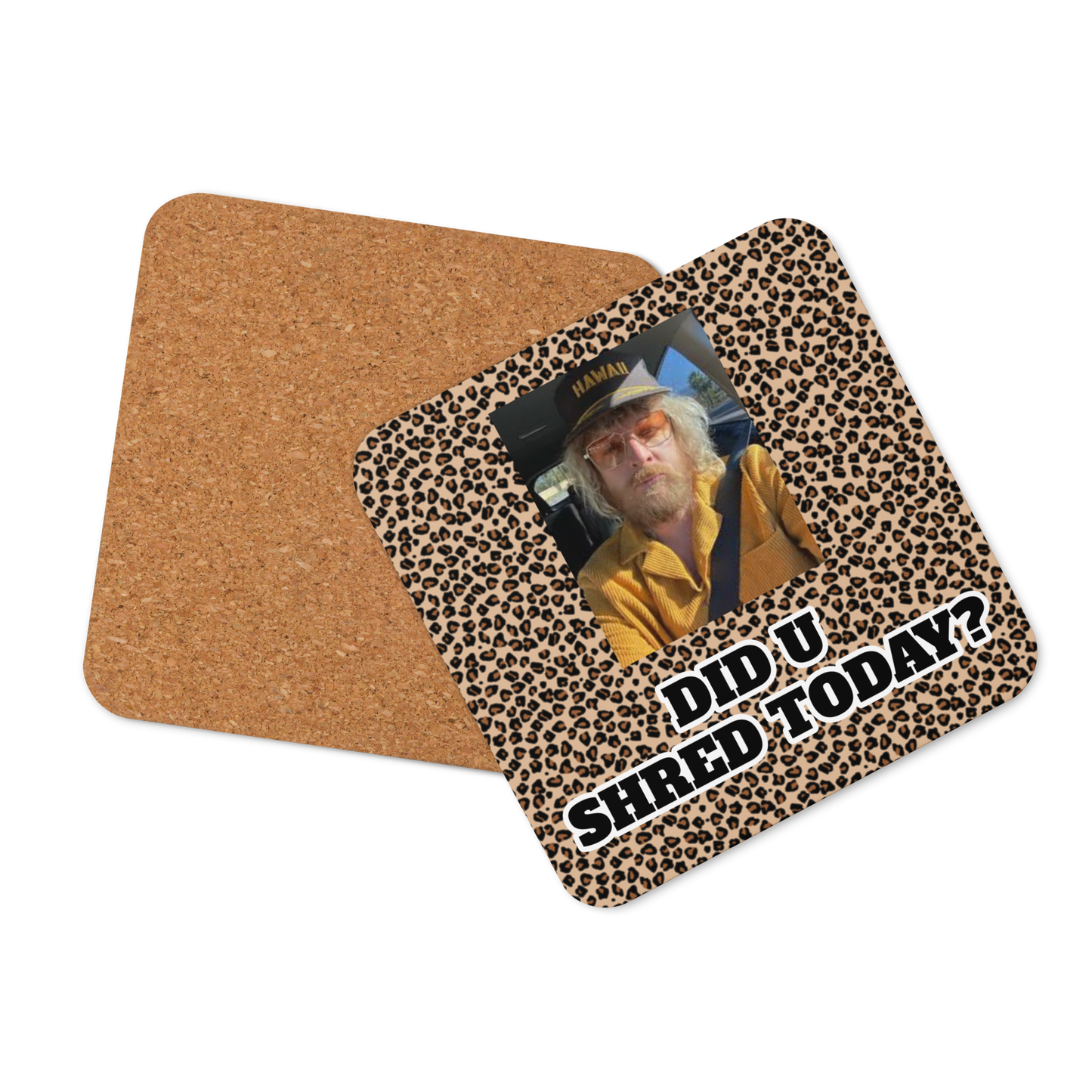 SHRED COASTER