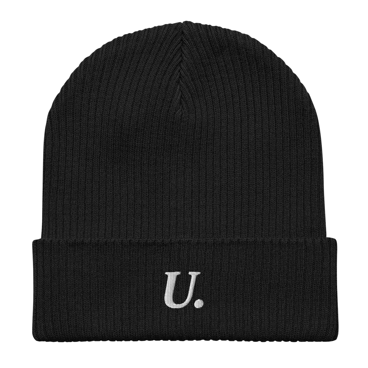 University Embroidered Ribbed Beanie