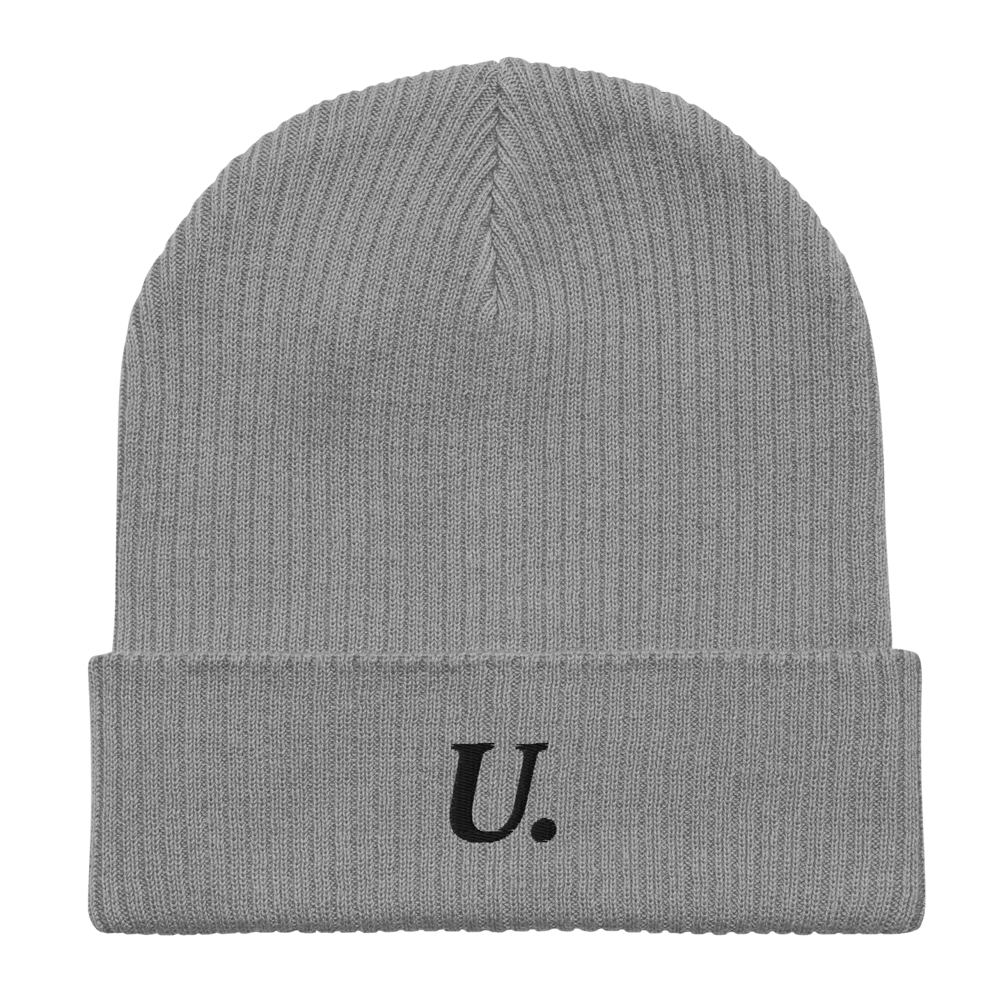 University Embroidered Ribbed Beanie