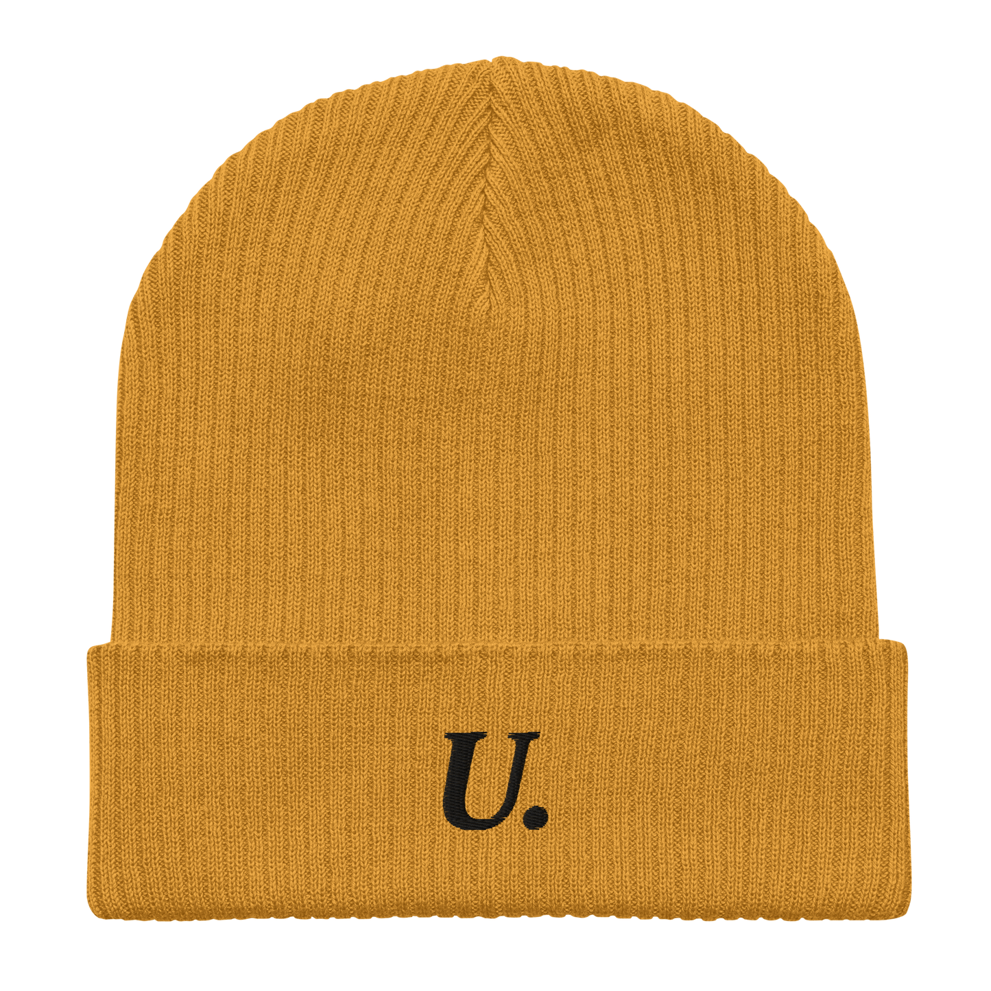 University Embroidered Ribbed Beanie