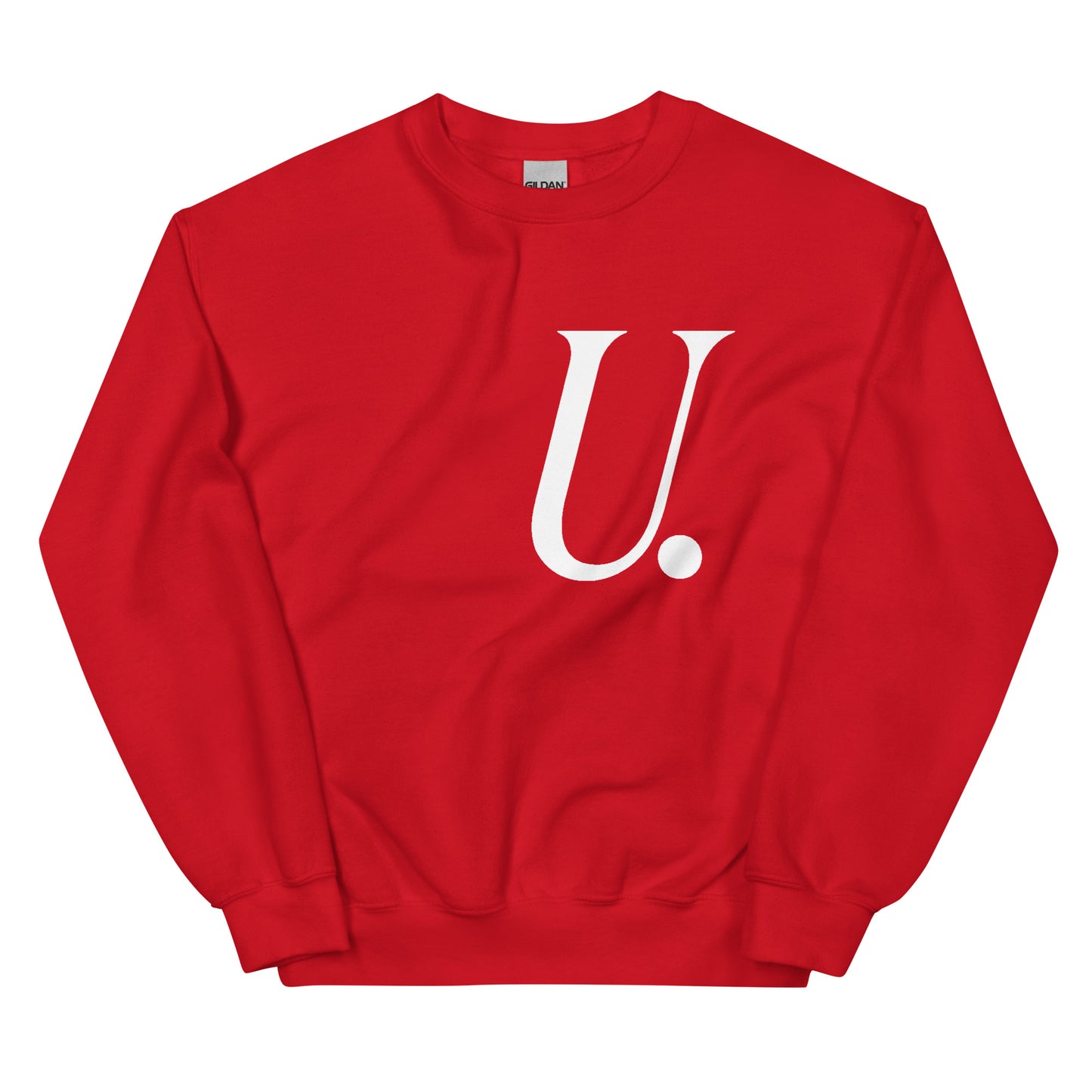 UNIVERSITY LOGO SWTSHRT