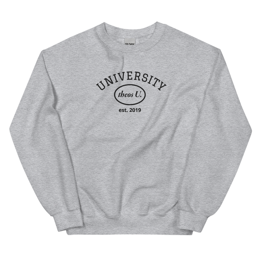 UNIVERSITY EMBROIDERED SWTSHRT