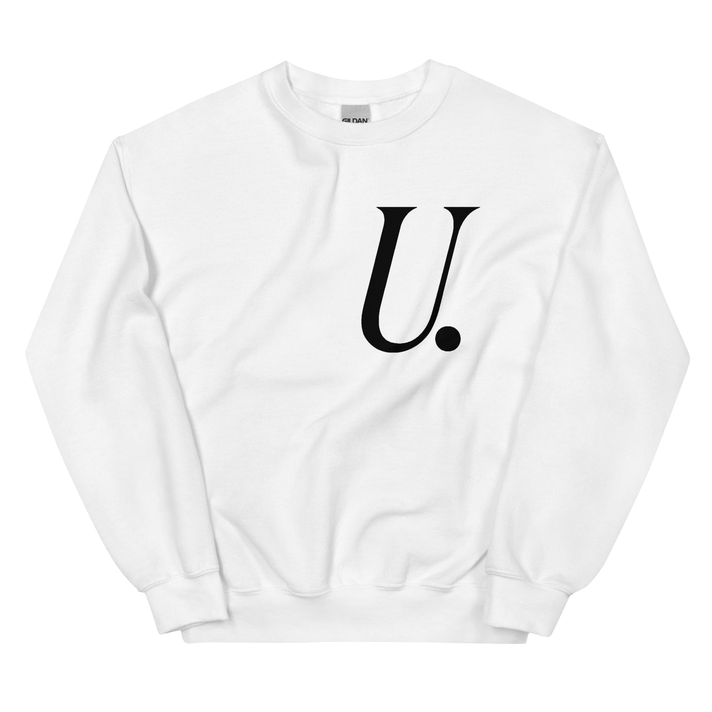 UNIVERSITY LOGO SWTSHRT