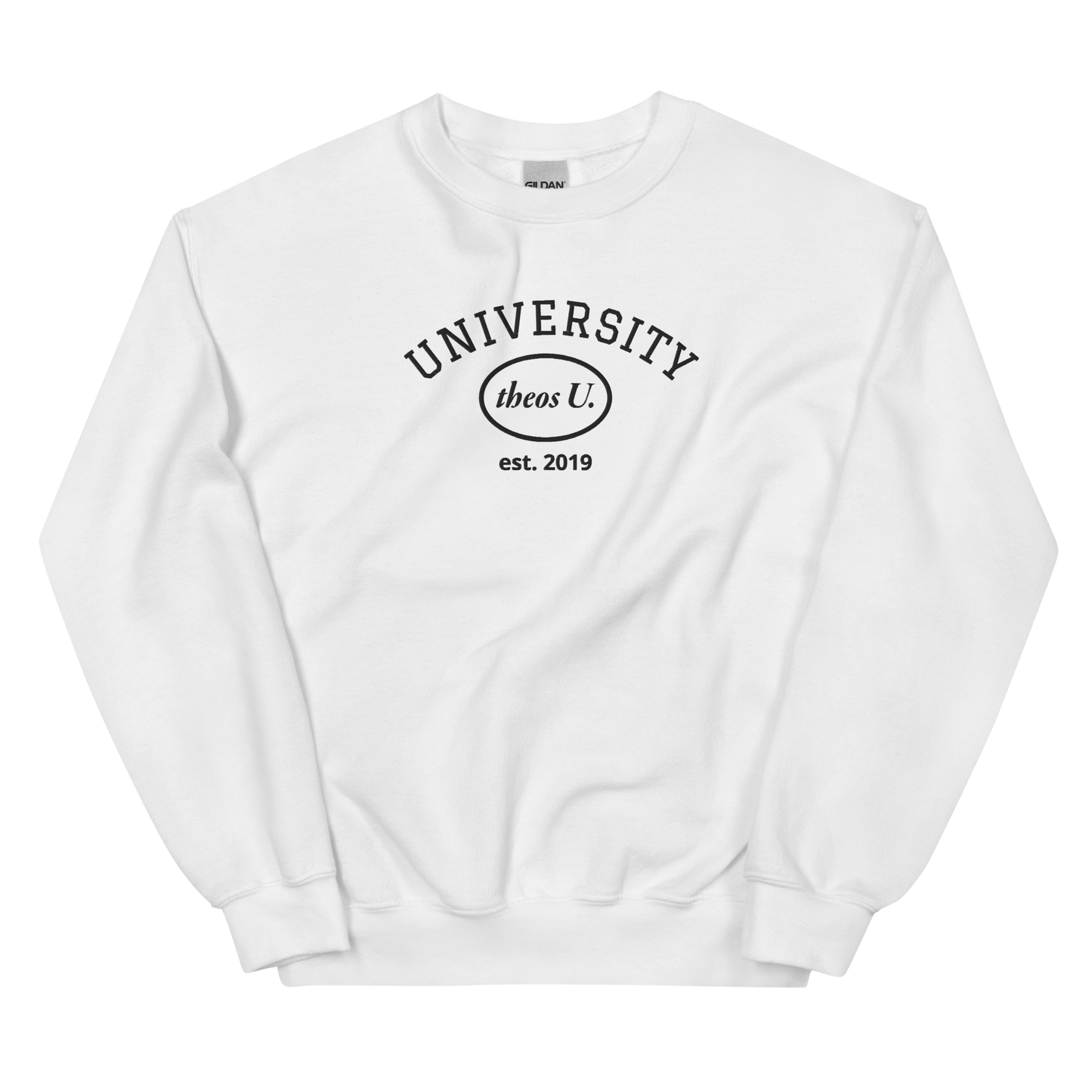 UNIVERSITY EMBROIDERED SWTSHRT